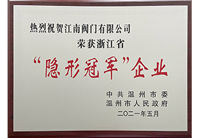 “隐形冠军”企业