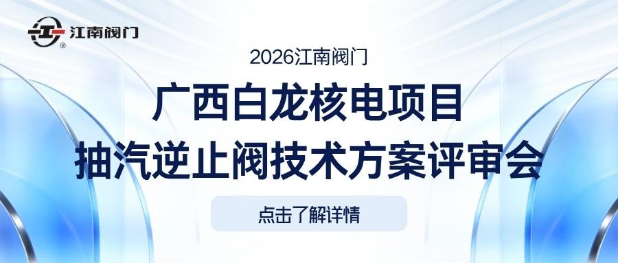 广西白龙核电项目抽汽逆止阀技术方案评审会在江南阀门圆满召开